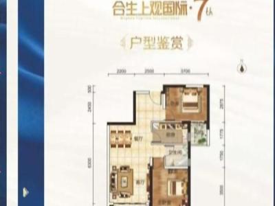 合生上观国际小区2室2厅2卫户型图4