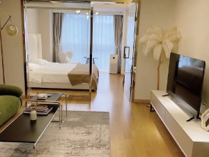 佳源酃湖都市 1室0厅 48㎡ 整租衡阳珠晖区酃湖万达广场租房图片