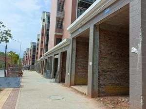 宜章县玉溪镇马耳冲小区三期10栋110号商业门面_郴州法拍房图片