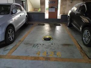 中山市古镇镇古一德兴路13号乐丰花园翠华轩1~5幢4426号车位_中山法拍房图片