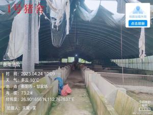 衡南县泉溪镇大基村砖头组与泉溪村三园村知明组交界处养猪场上贰座猪舍及其配套饲料房衡阳法拍房图片