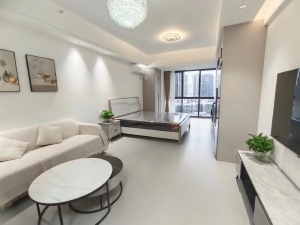 融冠乐城 1室1厅 45㎡ 整租衡阳蒸湘区南华大学租房图片