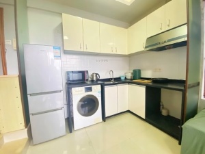 东尚新地 1室1厅 40㎡ 整租中山东区街道沙岗墟租房图片