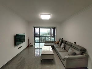 金色蓝庭 3室2厅 102㎡ 整租衡阳珠晖区苗圃租房图片