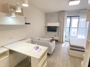 星湖蓝湾 1室0厅 49㎡ 整租清远英德市英德市租房图片