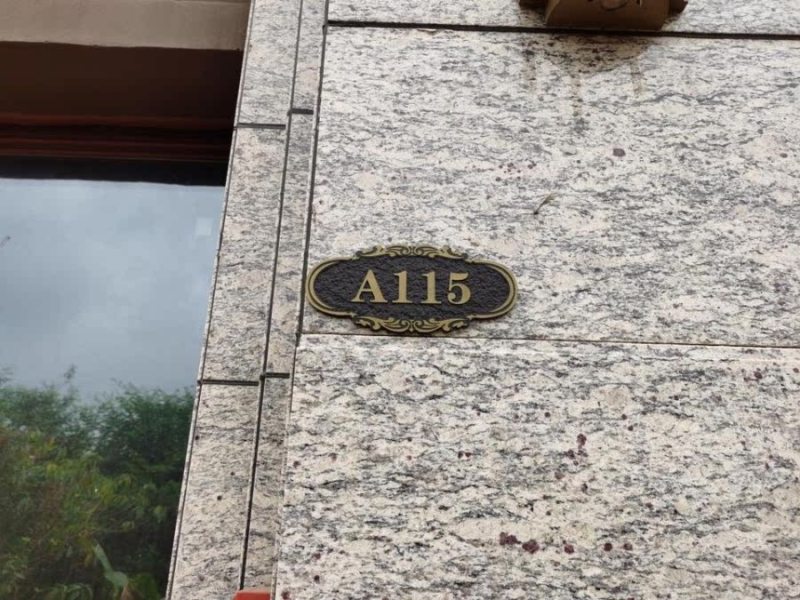 中山市三乡镇大布村桂新路1号畔山悦景花园115卡法拍房图片2