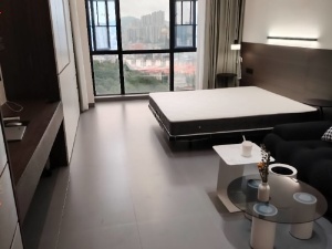 五岭国际芙蓉园 1室1厅 54㎡ 整租郴州北湖区五岭租房图片