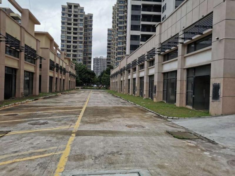 中山市三角镇旭日盛世园3幢204房的房地产法拍房图片4