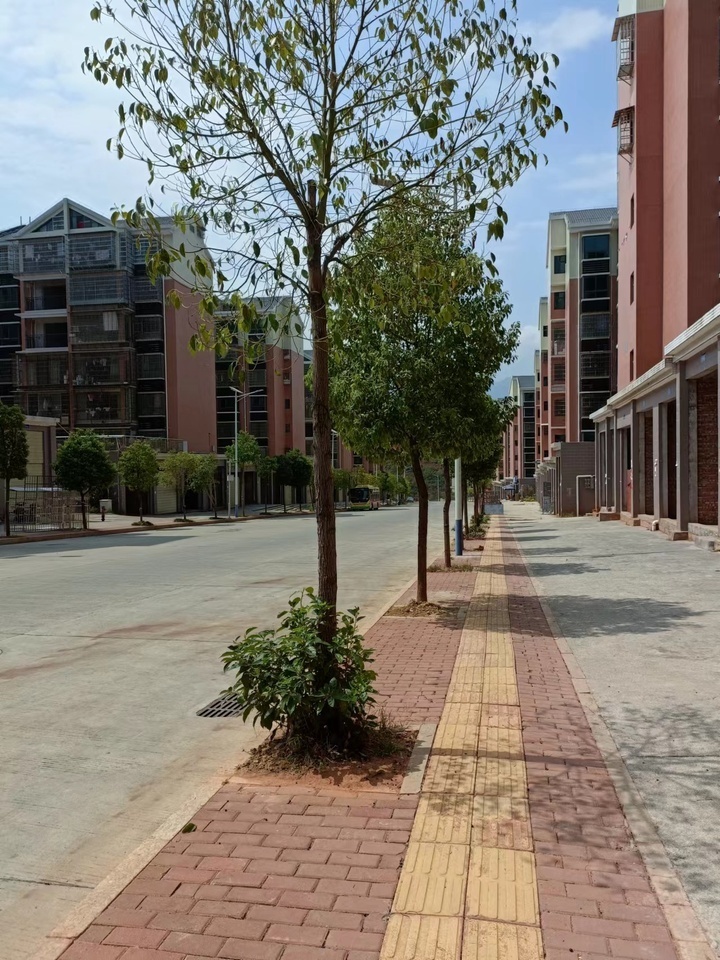 宜章县玉溪镇马耳冲小区三期14栋103号商业门面法拍房图片1