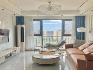 星美新外滩 1室1厅 52㎡ 整租衡阳蒸湘区区政府北租房图片