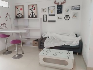 金典水岸 1室1厅 43㎡ 整租_惠州惠城区东江新城租房图片