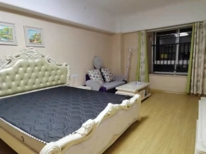 佳源酃湖都市 1室1厅 42㎡ 整租衡阳珠晖区酃湖万达广场租房图片