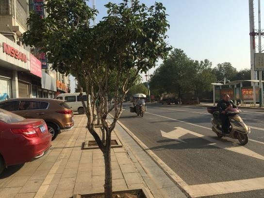 衡东县城关镇创大东路（恒盛花园2期A8#）102室法拍房图片1