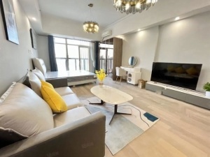 金钟大雁城 1室1厅 60㎡ 整租衡阳蒸湘区南华大学租房图片