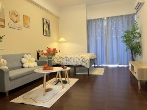 蓝钻星座国际公寓 1室1厅 48㎡ 整租_中山东区街道库充租房图片