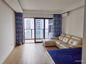 华润小径湾观海轩 1室0厅 51.53㎡ 精装_惠州大亚湾霞涌二手房图片