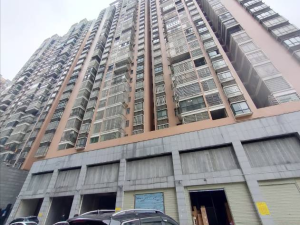 湖南省耒阳市群英南路鹏城花苑2号楼101室_衡阳法拍房图片