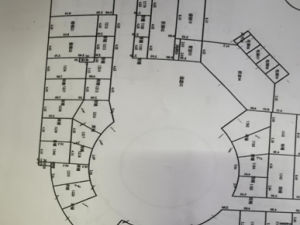 衡阳市衡南县云集镇云集大道38号（衡南县商业步行街一期5号楼）预测1236室_衡阳法拍房图片