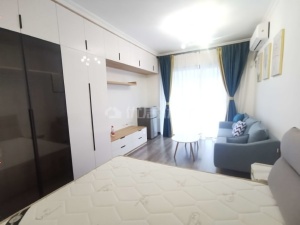 金河湾1881 1室1厅 43㎡ 整租衡阳蒸湘区区政府北租房图片