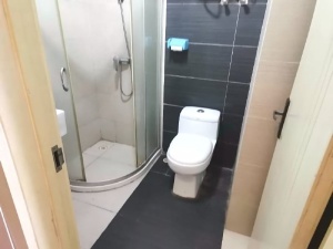 蓝钻星座国际公寓 1室1厅 46㎡ 整租_中山东区街道库充租房图片