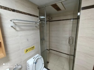 佳源酃湖都市 1室1厅 55㎡ 整租衡阳珠晖区酃湖万达广场租房图片