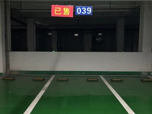 宜章县玉溪镇芙蓉新府一期3栋039号车位_郴州法拍房图片