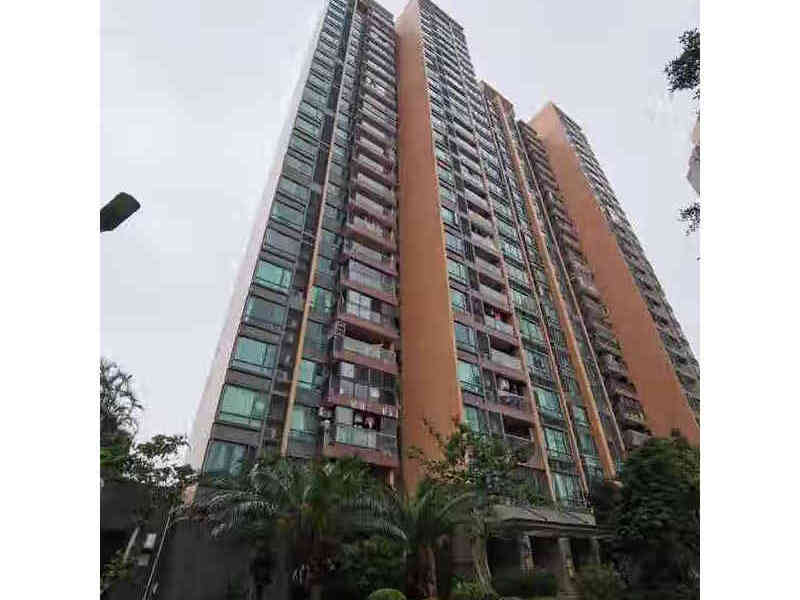 中山市坦洲镇南坦路9号海伦花园79座503房法拍房图片2