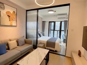 碧桂园衡州盛世 1室1厅 51㎡ 整租衡阳蒸湘区陆家新区租房图片