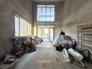 光耀城市山谷花园 6室2厅 127.14㎡ 毛坯_惠州仲恺仲恺二手房图片