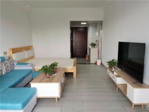 正和中州 1室0厅 42㎡ 整租中山石岐街道第一城小学租房图片