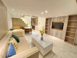 星美新外滩 1室1厅 57㎡ 整租衡阳蒸湘区区政府北租房图片