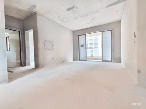 壹城中心一五期 4室2厅 114.19㎡ 毛坯_惠州仲恺仲恺二手房图片