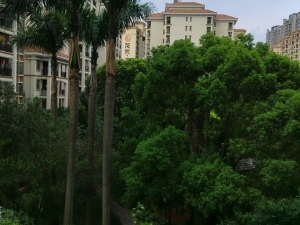 中山市西区翠虹路3号翠景豪苑1幢302房_中山法拍房图片