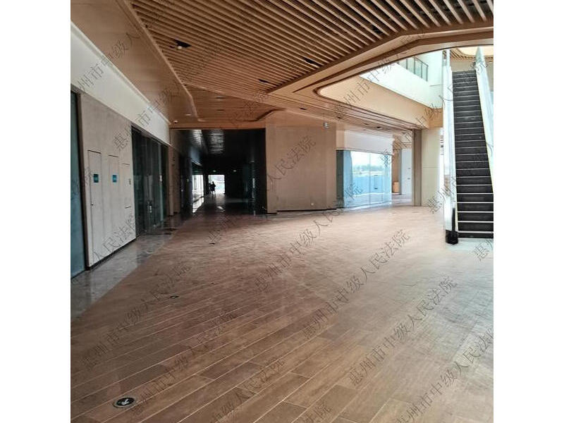 惠州仲恺高新区沥林镇智慧大道1号凤凰国际商务中心4#、5#楼2层10号法拍房图片5