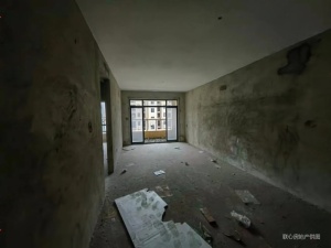 丽城乐意居 3室2厅 100㎡ 毛坯_中山东升镇东升中学二手房图片