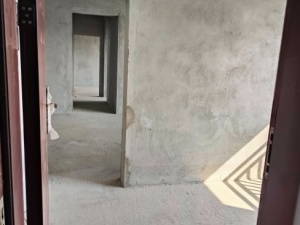 宏新蜜糖小城 4室2厅 119.9㎡ 毛坯惠州惠城区水口二手房图片