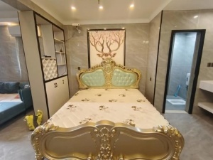 美美世界城市商业广场 1室1厅 49㎡ 整租郴州北湖区龙泉租房图片