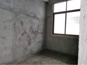 佛山市顺德区均安镇均安社区百安北路9号305单元的房产_佛山法拍房图片