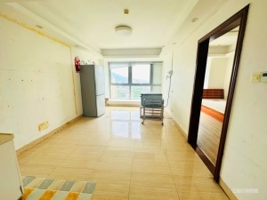 天朗海峰 1室1厅 63.36㎡ 精装珠海香洲区南湾二手房图片