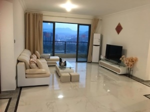 碧桂园太东天樾湾 4室2厅 140.6㎡ 整租_惠州大亚湾中心区租房图片