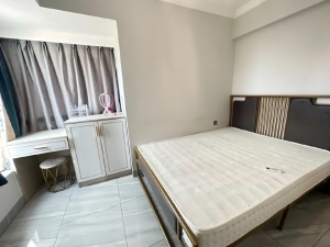 东岸公馆 1室1厅 53㎡ 整租_惠州惠阳区白云新城租房图片