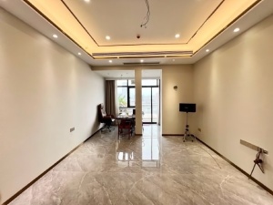 完美金鹰公馆 1室1厅 50㎡ 整租中山石岐街道市人大租房图片