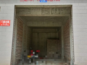 宜章县玉溪镇马耳冲小区三期10栋103号商业门面_郴州法拍房图片