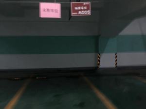 耒阳市西湖南路与蔡池路交叉口月畔湾小区A005号车位_衡阳法拍房图片