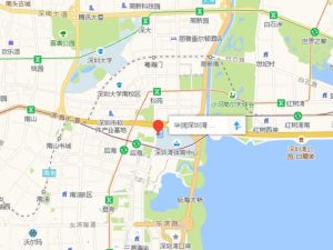 深圳华润深圳湾悦府新房楼盘图片